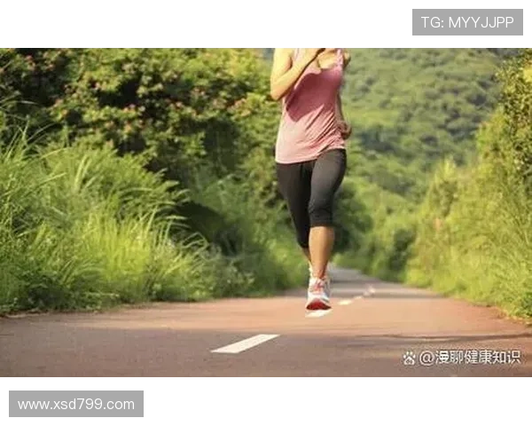 科学有效的登山训练计划打造强健体魄与卓越耐力的全方位指南