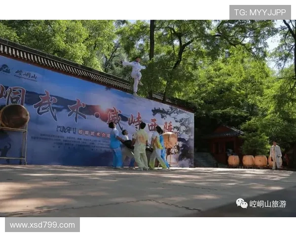 当传统武术邂逅现代竞技一场力量与智慧的巅峰挑战赛