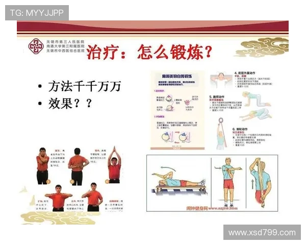 从基础动作到评分规则的体操项目系统化详细解读与训练思路